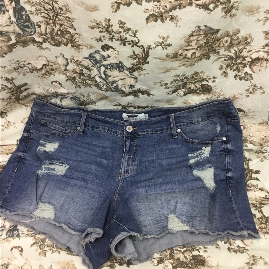 Torrid Shorts